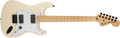 Jim Root Stratocaster® (Black / Ebony / Mahogany)